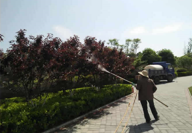 飞地公园草坪养护