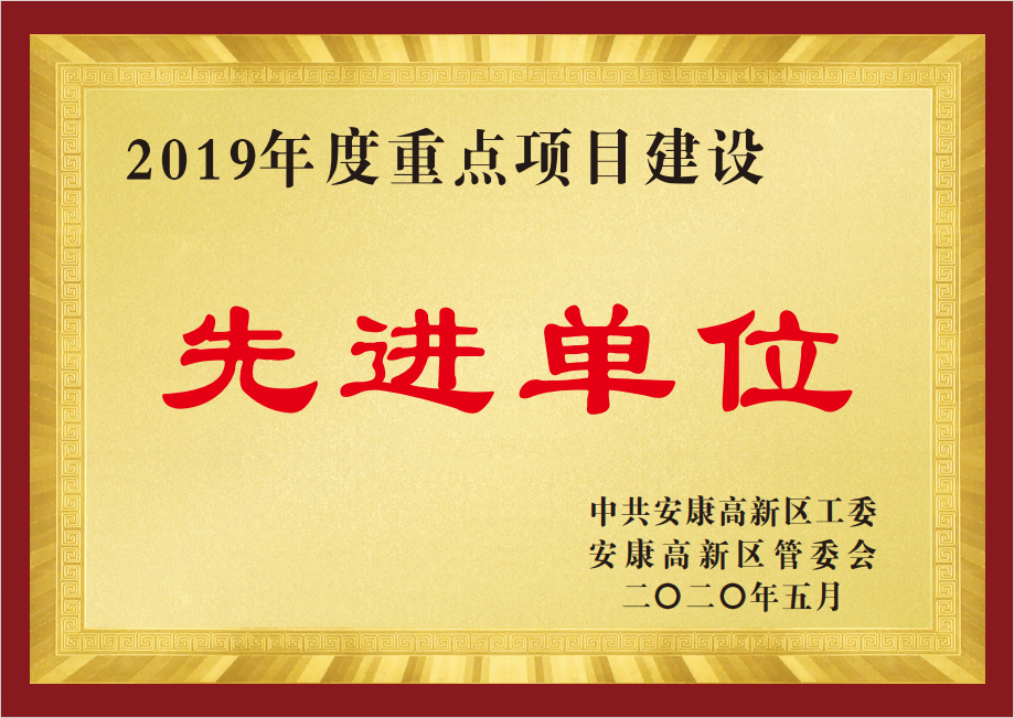 2019年度重点项目建设先进单位
