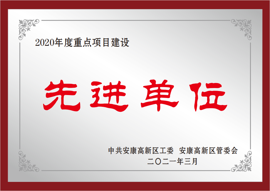 2020年度重点项目建设先进单位